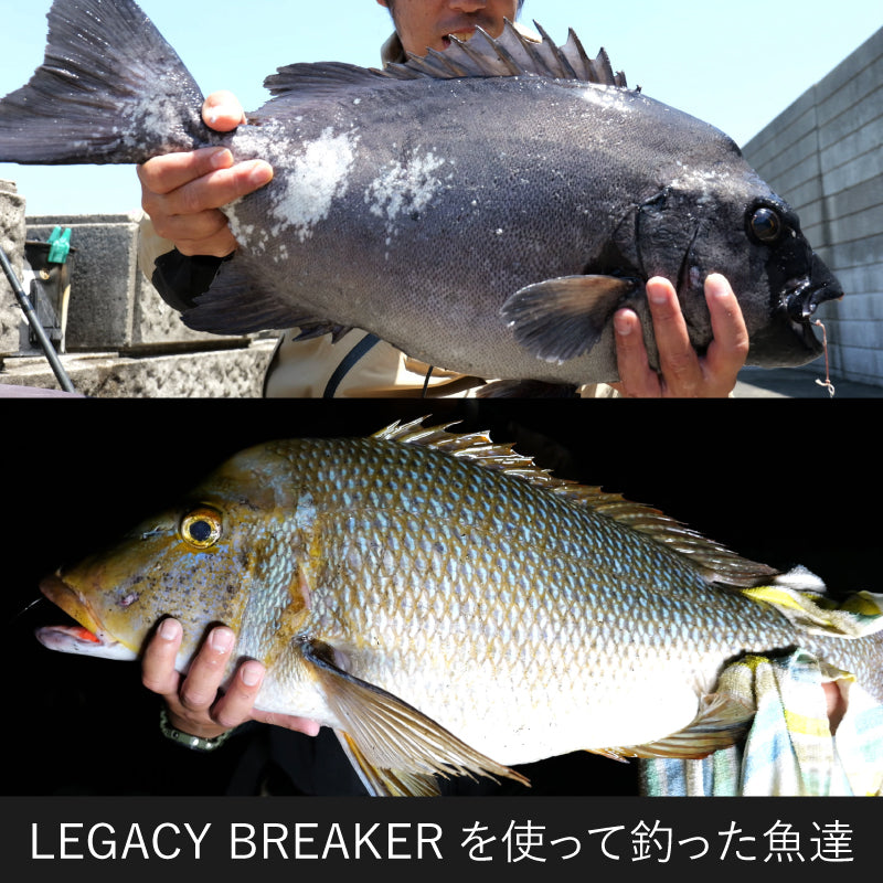 LEGACY BREAKER（レガシィブレイカー） バラシスタロッド